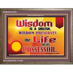 WISDOM   Framed Bible Verse   (GWMARVEL6782)   