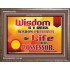 WISDOM   Framed Bible Verse   (GWMARVEL6782)   "36x31"