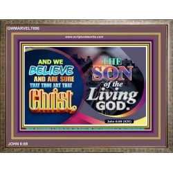 SON OF THE LIVING GOD   Acrylic Glass framed scripture art   (GWMARVEL7896)   