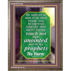 TOUCH NOT MINE ANOINTED   Bible Verse Wall Art Frame   (GWMARVEL802)   "36x31"