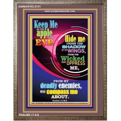 UNDER THE SHADOW OF THY WINGS   Scriptural Portrait Acrylic Glass Frame   (GWMARVEL8151)   "36x31"