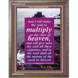 THY SEED AS THE STAR OF HEAVEN   Acrylic Glass Frame Scripture Art   (GWMARVEL820)   