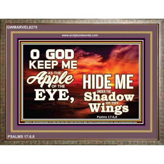 UNDER THE SHADOW OF THY WINGS   Frame Scriptural Wall Art   (GWMARVEL8275)   