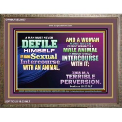 SEXUAL IMMORALITY   Portrait of Faith Wooden Framed   (GWMARVEL8937)   