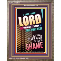 YOU SHALL NOT BE PUT TO SHAME   Bible Verse Frame for Home   (GWMARVEL9113)   