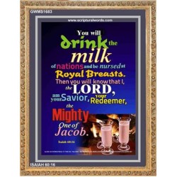THE MIGHTY ONE OF JACOB   Large Framed Scripture Wall Art   (GWMS1683)   