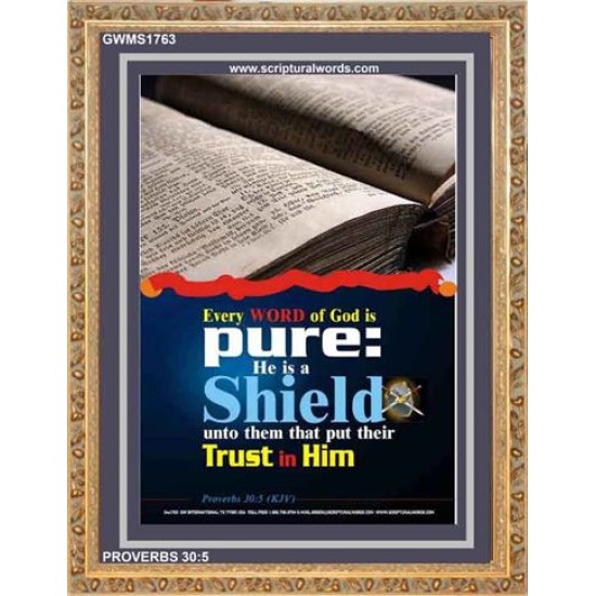 TRUST IN HIM   Scripture Art Frame   (GWMS1763)   