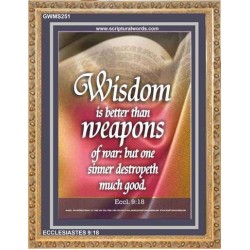 WISDOM IS BETTER THAN WEAPONS   Inspirational Wall Art Poster   (GWMS251)   