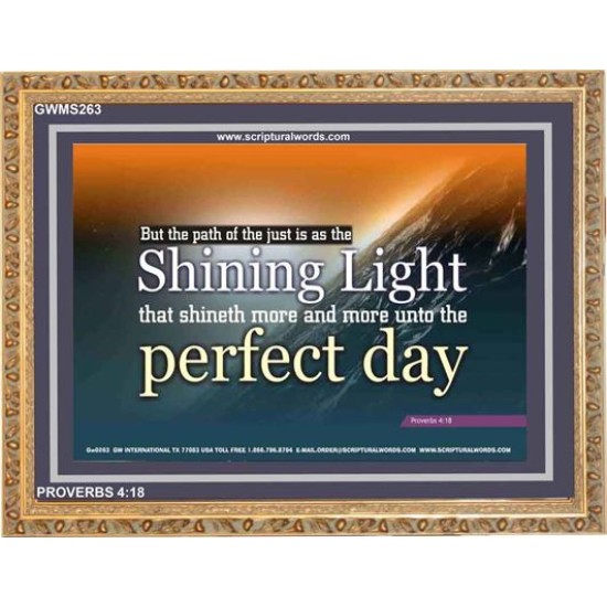 SHINNING LIGHT   Framed Art Work   (GWMS263)   