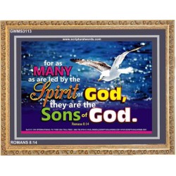 SONS OF GOD   Inspirational Bible Verses Framed   (GWMS3113)   