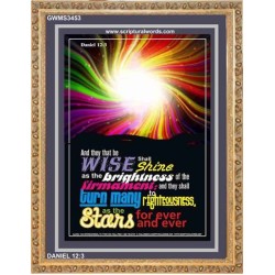 WISE SHALL SHINE AS THE BRIGHTNESS   Framed Scriptural Dcor   (GWMS3453)   