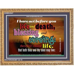 SET BEFORE YOU LIFE AND DEATH   Bible Verse Framed Art   (GWMS3547)   