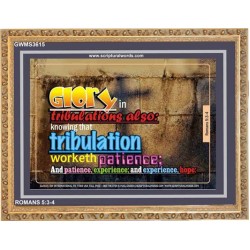 TRIBULATION WORKETH PATIENCE   Bible Verse Frame Art Prints   (GWMS3615)   "34x28"