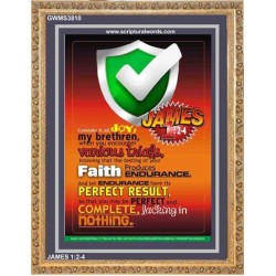 VARIOUS TRIALS   Bible Verse Frame Online   (GWMS3810)   "28x34"