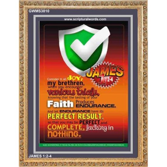 VARIOUS TRIALS   Bible Verse Frame Online   (GWMS3810)   