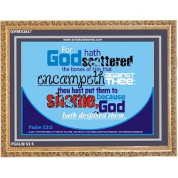 SHAME   Scripture Art Prints Framed   (GWMS3847)   