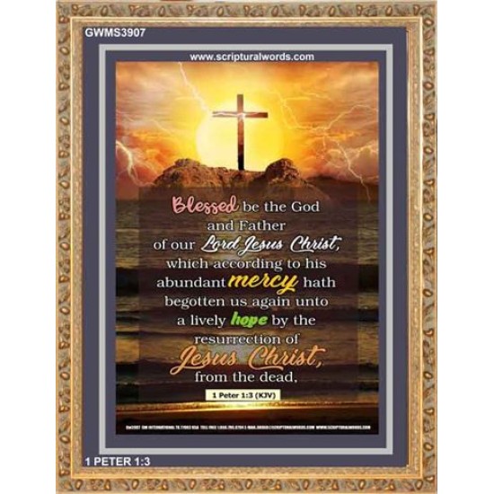 ABUNDANT MERCY   Christian Quote Framed   (GWMS3907)   