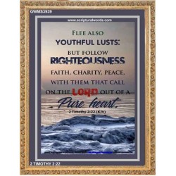 YOUTHFUL LUSTS   Bible Verses to Encourage  frame   (GWMS3939)   "28x34"