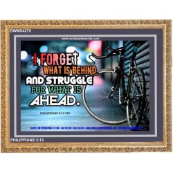 STRUGGLE FOR WHAT IS AHEAD   Framed Lobby Wall Decoration   (GWMS4275)   
