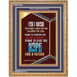 THE PLANS I HAVE FOR YOU   Inspiration Frame   (GWMS4548)   