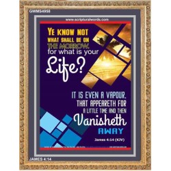 WHAT IS YOUR LIFE   Framed Bible Verses   (GWMS4958)   "28x34"