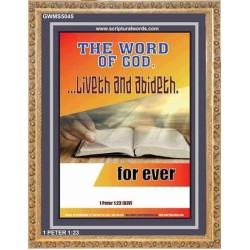 THE WORD OF GOD LIVETH AND ABIDETH   Framed Scripture Art   (GWMS5045)   