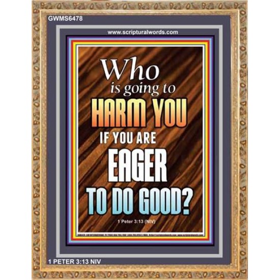 WHO IS GOING TO HARM YOU   Frame Bible Verse   (GWMS6478)   