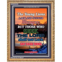 THE YOUNG LIONS LACK AND SUFFER   Acrylic Glass Frame Scripture Art   (GWMS6529)   