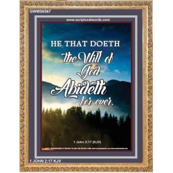 THE WILL OF GOD   Framed Picture   (GWMS6567)   