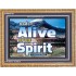 ALIVE BY THE SPIRIT   Framed Guest Room Wall Decoration   (GWMS6736)   "34x28"