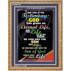 THE TESTIMONY GOD HAS GIVEN US   Christian Framed Wall Art   (GWMS6749)   