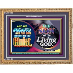 SON OF THE LIVING GOD   Acrylic Glass framed scripture art   (GWMS7896)   