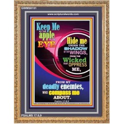 UNDER THE SHADOW OF THY WINGS   Scriptural Portrait Acrylic Glass Frame   (GWMS8151)   "28x34"