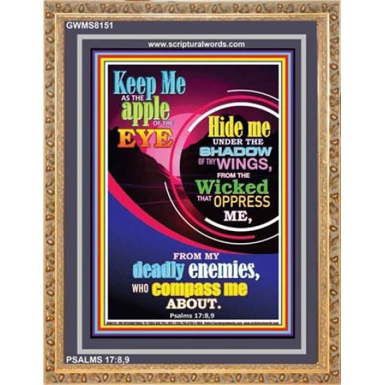 UNDER THE SHADOW OF THY WINGS   Scriptural Portrait Acrylic Glass Frame   (GWMS8151)   