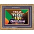 TIME OF LIFE IN CHRIST JESUS   Christian Frame Art   (GWMS8214)   "34x28"