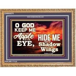 UNDER THE SHADOW OF THY WINGS   Frame Scriptural Wall Art   (GWMS8275)   