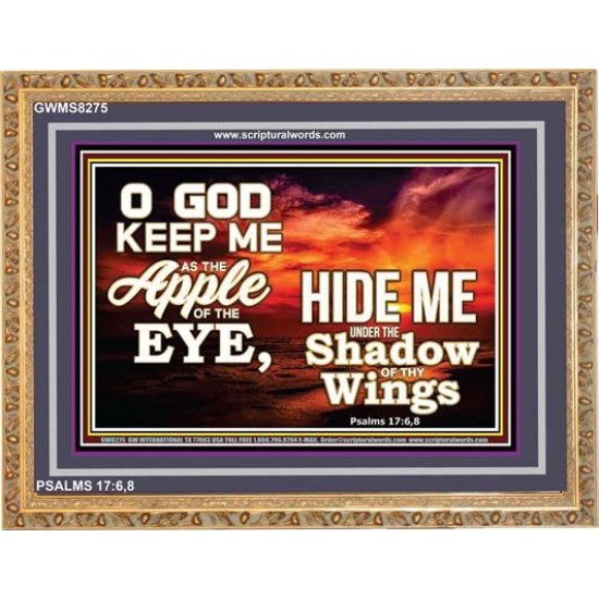 UNDER THE SHADOW OF THY WINGS   Frame Scriptural Wall Art   (GWMS8275)   