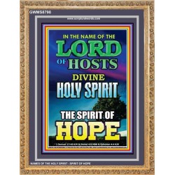 THE SPIRIT OF HOPE   Bible Verses Wall Art Acrylic Glass Frame   (GWMS8798)   