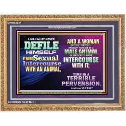 SEXUAL IMMORALITY   Portrait of Faith Wooden Framed   (GWMS8937)   