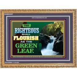RIGHTEOUS SHALL FLOURISH   Bible Verse Framed Art   (GWMS9267)   