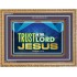 TRUST IN THE LORD JESUS   Scripture Framed    (GWMS9314)   "34x28"