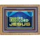 TRUST IN THE LORD JESUS   Scripture Framed    (GWMS9314)   