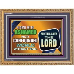 YOU SHALL NOT BE SHAME   Encouraging Bible Verses Frame   (GWMS9432)   