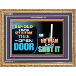 AN OPEN DOOR NO MAN CAN SHUT   Acrylic Frame Picture   (GWMS9511)   