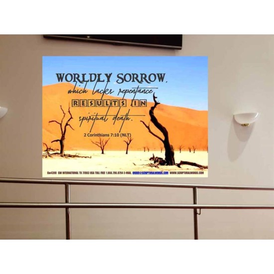 WORDLY SORROW   Custom Frame Scriptural ArtWork   (GWOVERCOMER4390)   