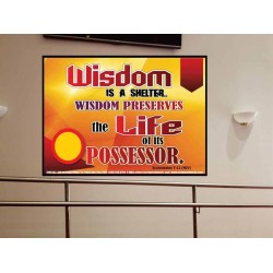 WISDOM   Framed Bible Verse   (GWOVERCOMER6782)   "62x44"