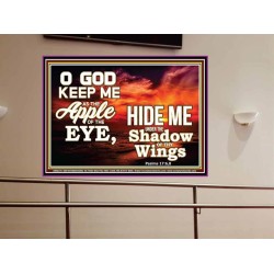 UNDER THE SHADOW OF THY WINGS   Frame Scriptural Wall Art   (GWOVERCOMER8275)   "62x44"