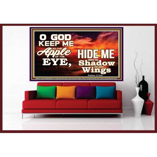 UNDER THE SHADOW OF THY WINGS   Frame Scriptural Wall Art   (GWOVERCOMER8275)   