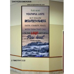 YOUTHFUL LUSTS   Bible Verses to Encourage  frame   (GWOVERCOMER3939)   "44X62"