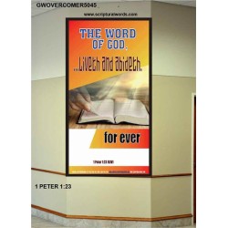 THE WORD OF GOD LIVETH AND ABIDETH   Framed Scripture Art   (GWOVERCOMER5045)   